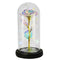 Galaxy Rose Gift with LED string lights